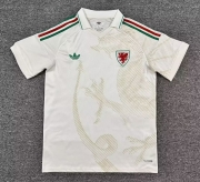 2026 Wales Away Soccer Jersey